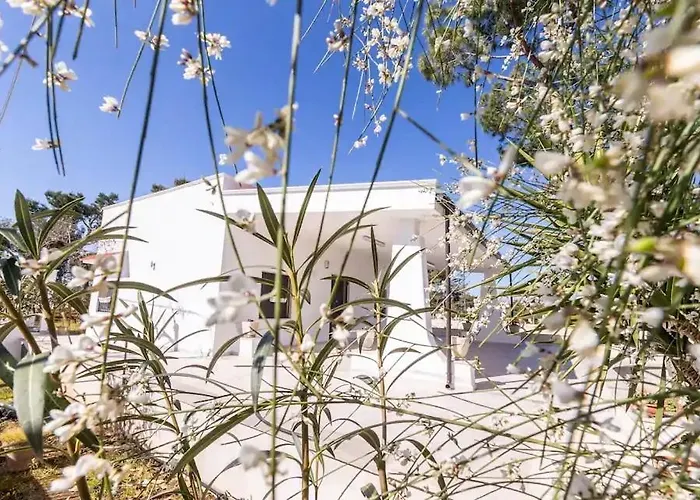 Casina Anna Maria