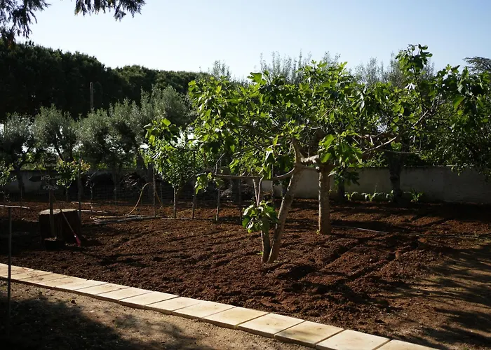 Casina Anna Maria