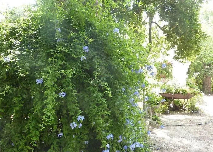 Il Trullo del Cadetto